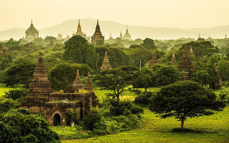 green leafed tree, nature, landscape, Myanmar, temple, monastery