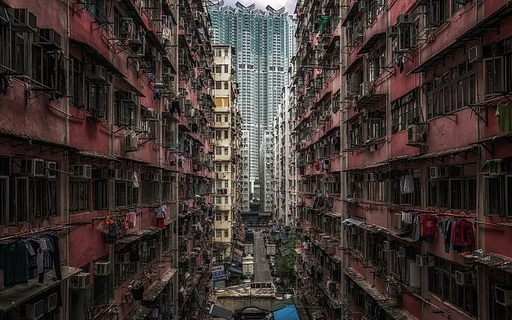 Asia, Hong Kong, China, urban, cityscape, HD wallpaper