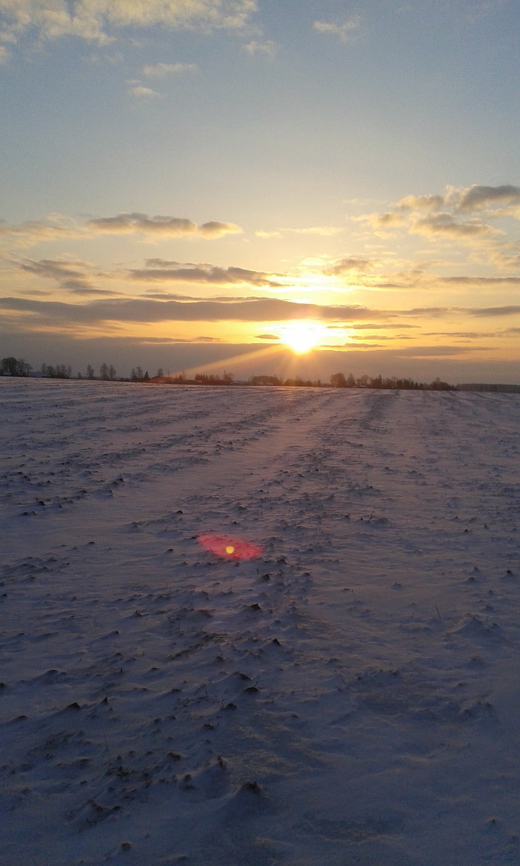 snow field and golden hour, nature, winter, cold, Lithuania, morning