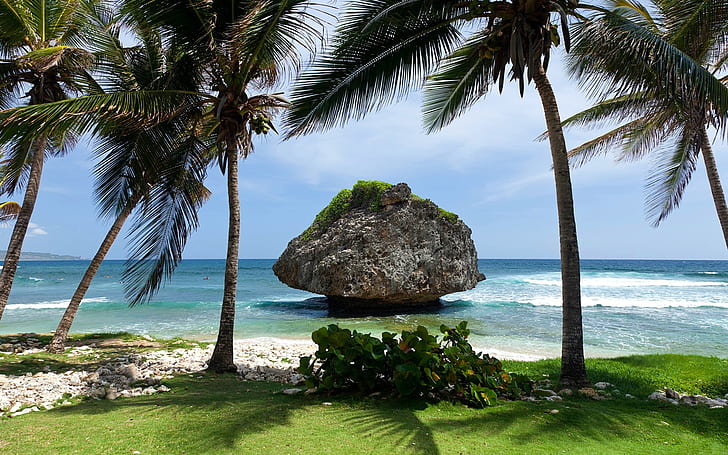 Tropical scenery, island, sea, stone, palm trees, HD wallpaper