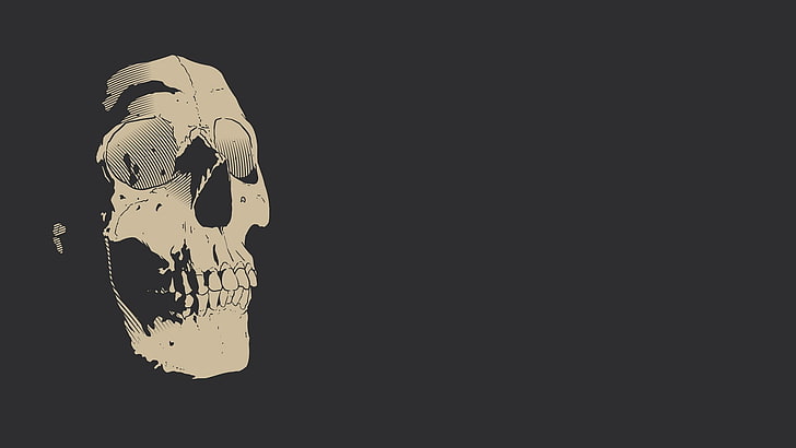 digital art, simple background, skull, teeth, gray background