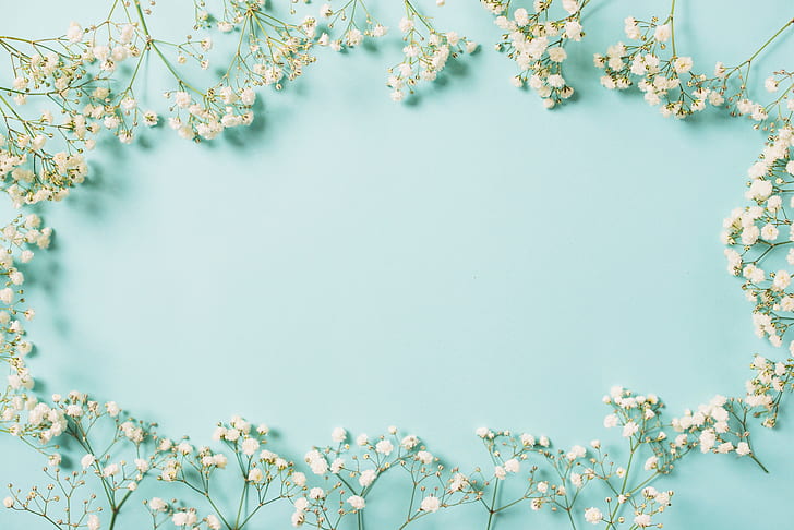 flowers, background, frame, white, spring, floral, HD wallpaper