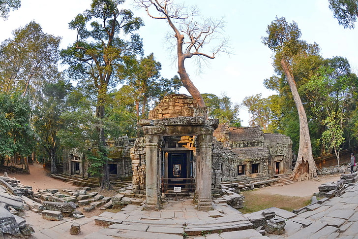 angkor, cambodia, khmer empire, siem reap, ta prohm, temple