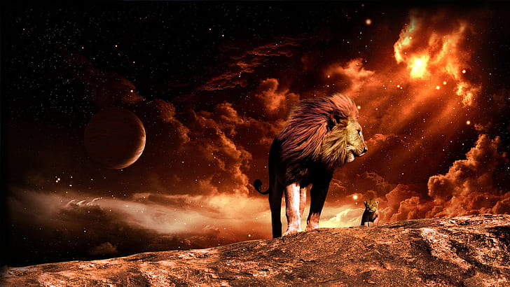 space, fire, Leo, lion, HD wallpaper