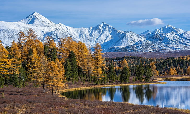autumn, forest, trees, mountains, lake, Russia, The Altai Mountains, HD wallpaper