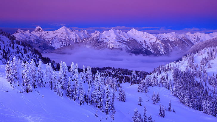 purple, clouds, snow, winter, mountains, trees, sky, nature, landscape, snow capped mountain