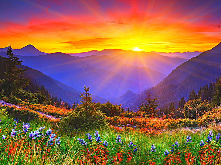 Sunrise, dawn, mountains, grass, flowers, HD wallpaper