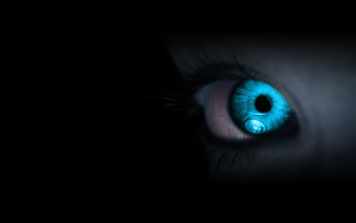 eyes, blue eyes, eyesight, human eye, sensory perception, body part, HD wallpaper