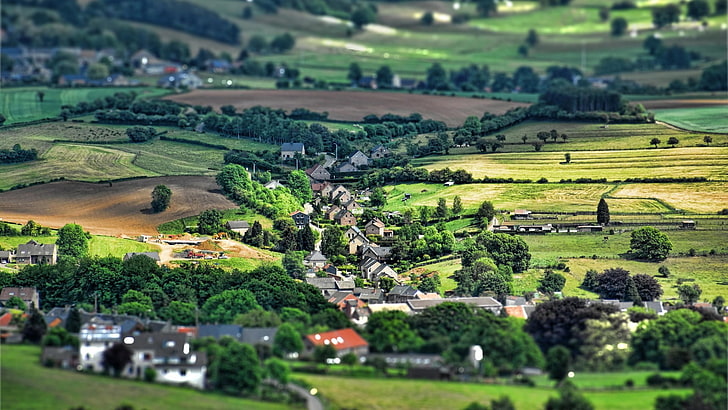 tilt shift photography of house and tree, tilt photography of town surrounded by trees