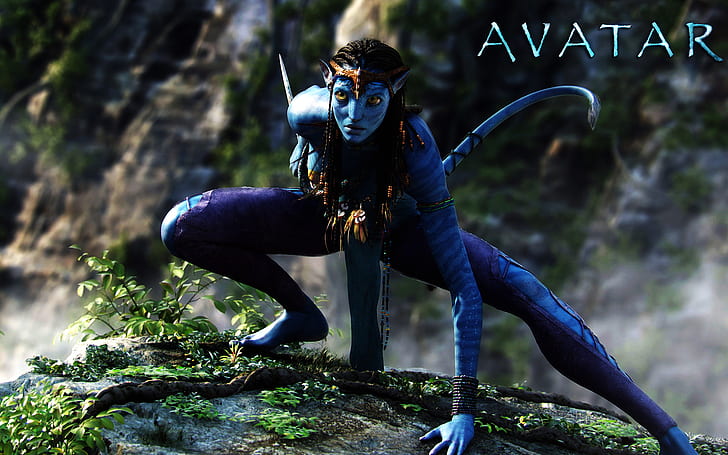HD wallpaper 3D Movies avatar picture  Wallpaper Flare