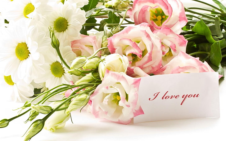 pink and white daisies and roses, lisianthus russell, chrysanthemums, HD wallpaper