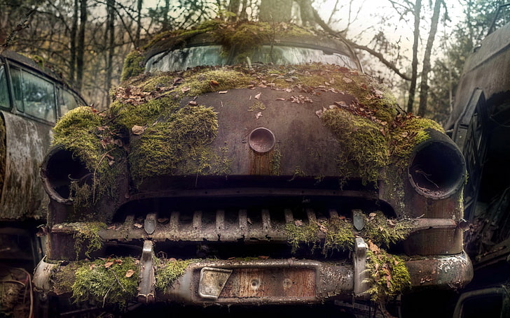 car, moss, abandoned, Vintage car, rust, wreck, tree, plant