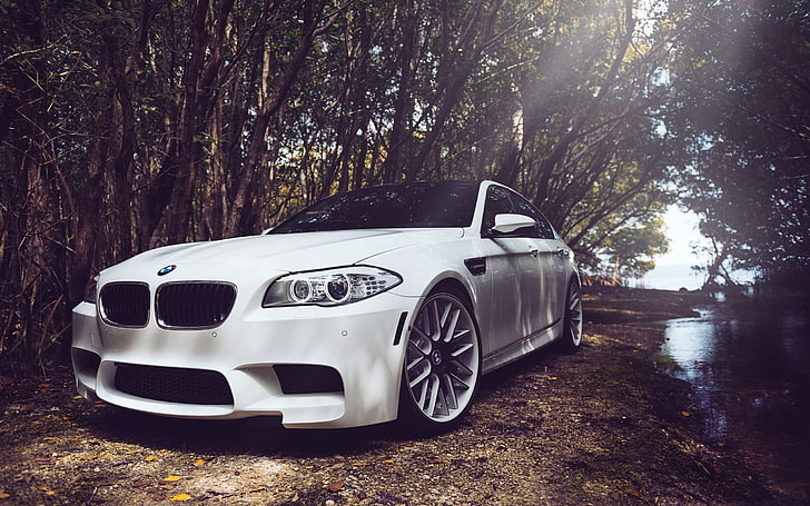 white BMW sedan, forest, trees, BMW M5, white cars, mode of transportation, HD wallpaper