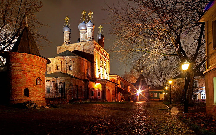 bare tree, Moscow, night, church, street light, urban, architecture, HD wallpaper
