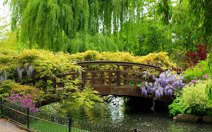 trees, bridge, garden
