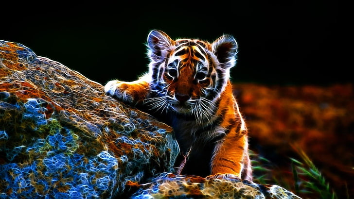 HD wallpaper: abstract, tiger, wild animal, wildlife, mammal, one animal |  Wallpaper Flare
