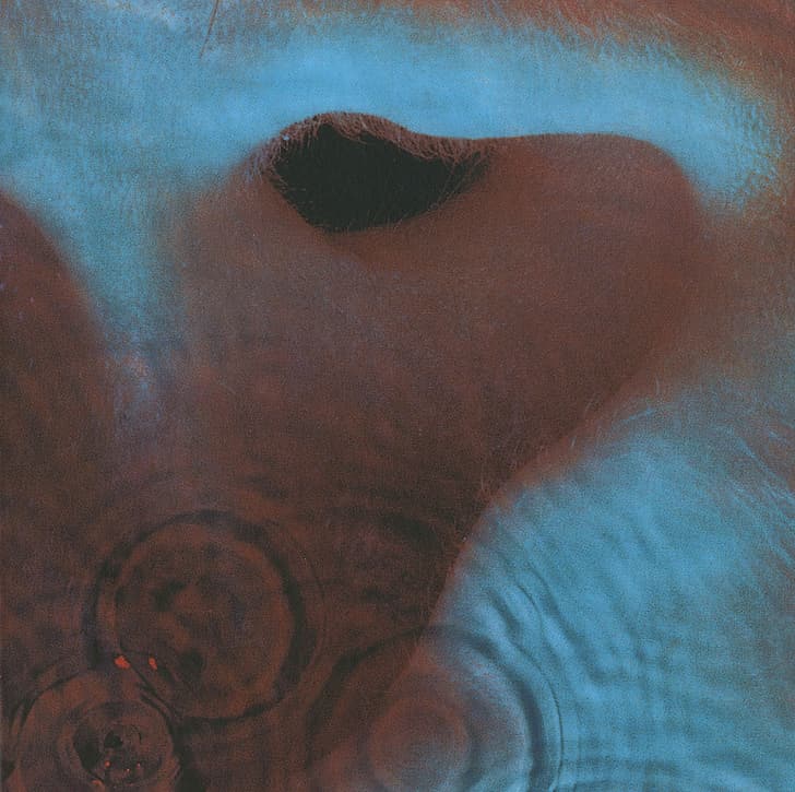 meddle, Pink Floyd, sleeve, Echoes, roger waters, David Gilmore, HD wallpaper