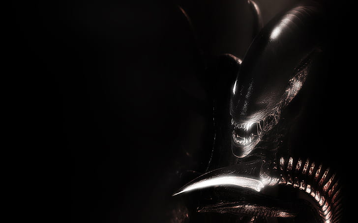 Alien Xenomorph Black HD, movies