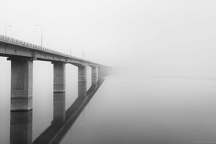 architectural photography of gray concrete bridge, Fog, stump, HD wallpaper