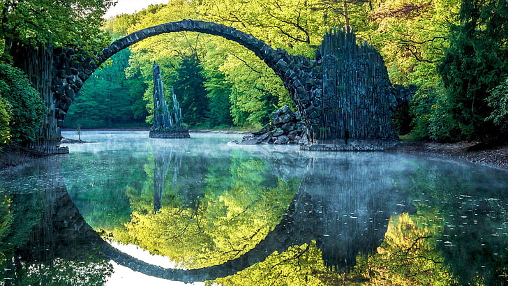 reflection, nature, water, green, park, vegetation, tree, pond, HD wallpaper