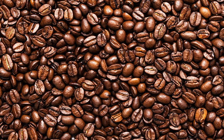 Toasted coffee beans, seeds, coffee beans, HD wallpaper