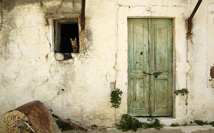 cats old door houses window panes 1920x1200  Architecture Houses HD Art, HD wallpaper