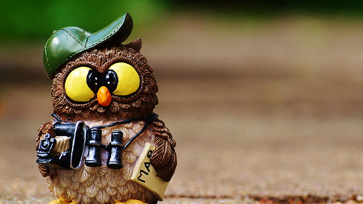 brown and white ceramic owl holding camera figurine, nature, animals, HD wallpaper