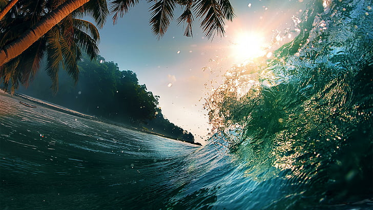 wave, palms, palm tree, sea, holiday, summer, sun, sunshine