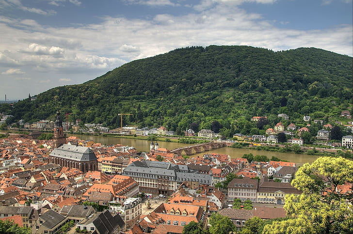 Heidelberg, Germany, River, Bridge, Buildings, Forest, Trees