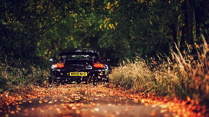 Porsche 911 GT3, car, HD wallpaper