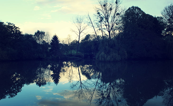 River, body of water, Nature, Rivers, Trees, Bluish, Reflection