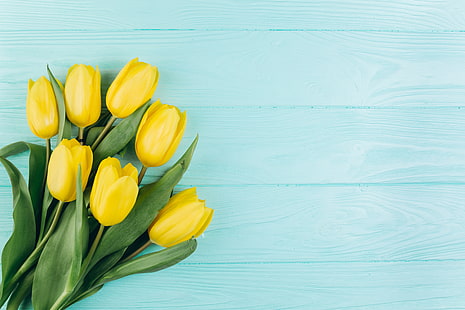 HD wallpaper: flowers, yellow, tulips, fresh, wood, beautiful, spring,  tender | Wallpaper Flare