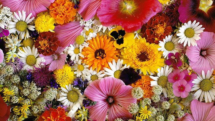 flower, bouquet, flowers, daisy, spring, plant, floral, bloom, HD wallpaper