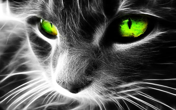 Fractalius, cat, green eyes, selective coloring, animals, digital art, HD wallpaper