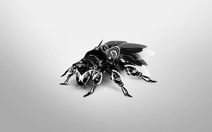 black and white skull illustration, Fly, digital art, studio shot, HD wallpaper