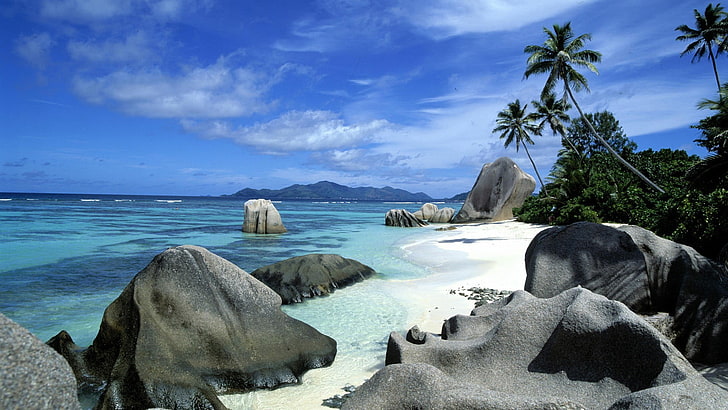 seashore, beach, landscape, nature, palm trees, rock, sky, water, HD wallpaper