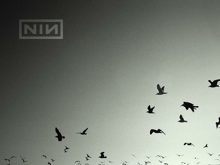 Nine Inch Nails HD, sillouette photo of fluck of migrating birds, HD wallpaper