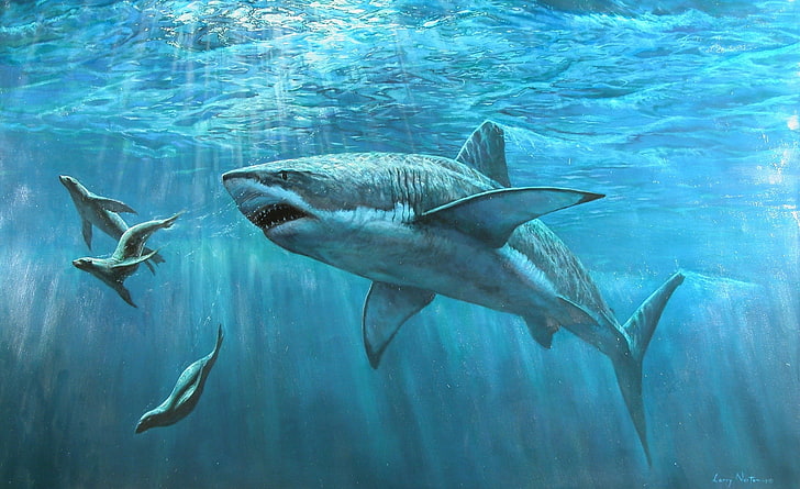 Great White Shark Painting, shoal of sharks, Artistic, Drawings, HD wallpaper