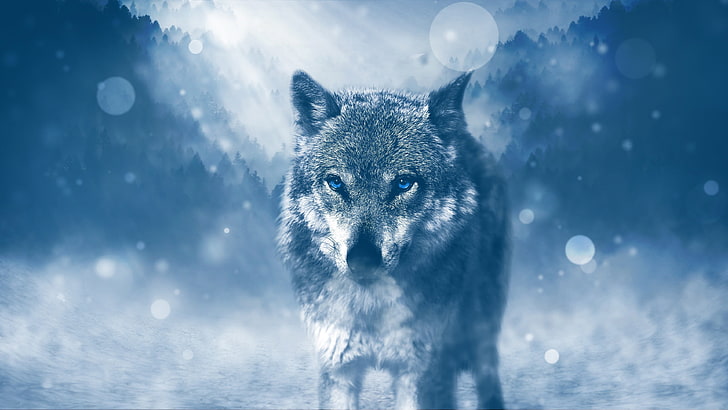white and gray wolf, photo manipulation, snow, blue, cold