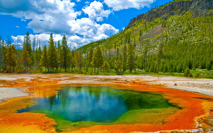Yellowstone 4K wallpapers for your desktop or mobile screen free and easy  to download