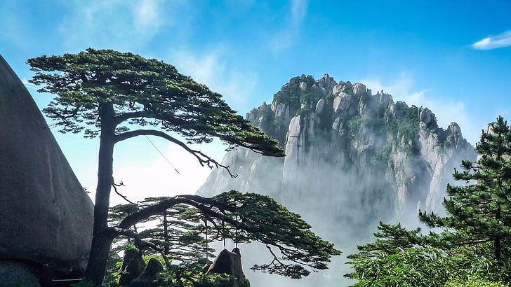 mountain, welcome pine, huangshan, iconic, tree, landscape, HD wallpaper