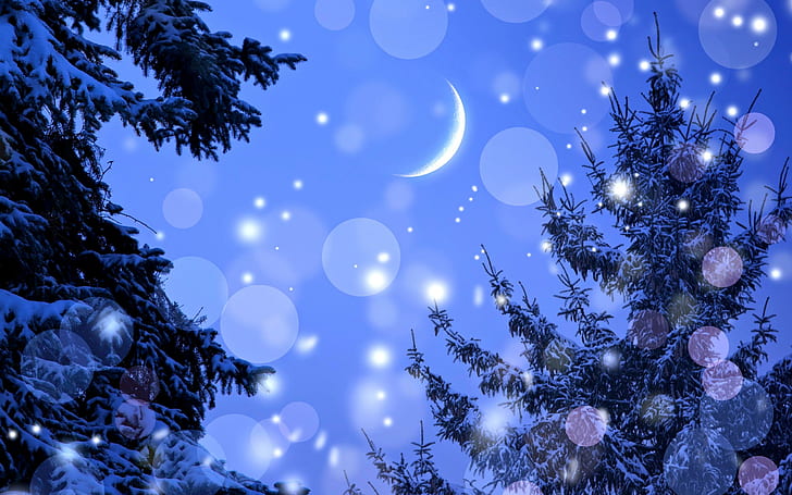 Winter Night, snow covered trees, new year, decorations, lovely, HD wallpaper