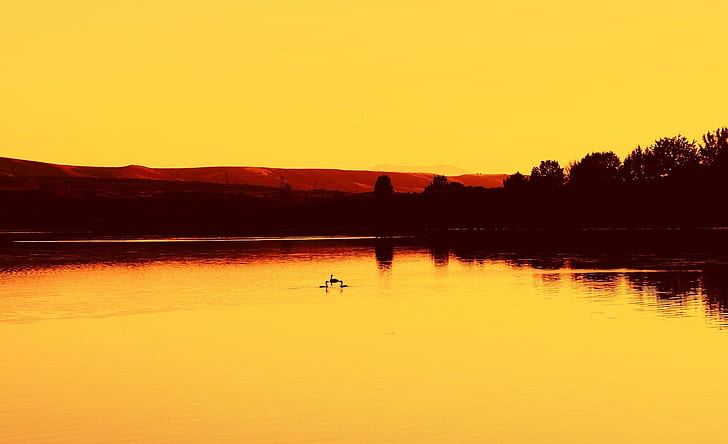photography, landscape, water, sunset, orange, trees, lake, HD wallpaper