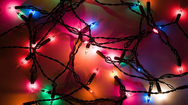 assorted-colored string lights, christmas lights, branch, tree, HD wallpaper
