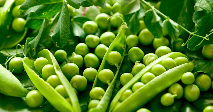 green beans, leaves, peas, green peas, pods, green color, food