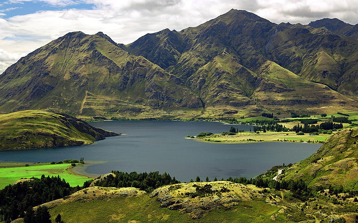 green grass field during daytime, landscape, nature, New Zealand, HD wallpaper