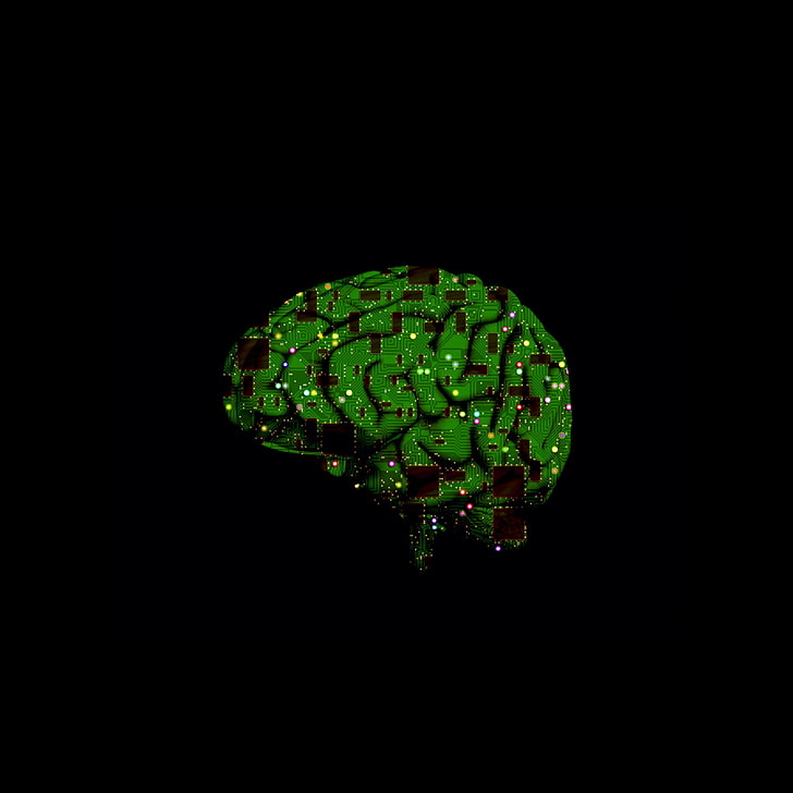 brain, microchip, circuits, artificial intelligence, green color, HD wallpaper