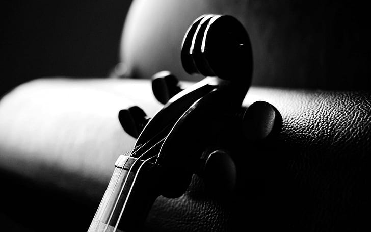 music Women Monochrome Violin HD Wallpapers  Desktop and Mobile Images   Photos