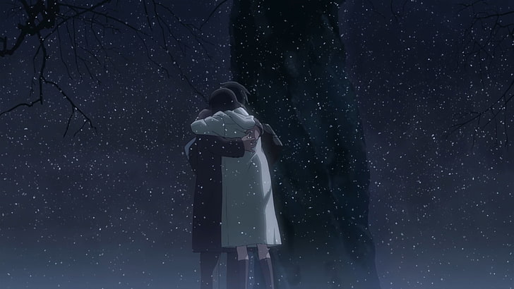 anime, 5 Centimeters Per Second, night, one person, standing