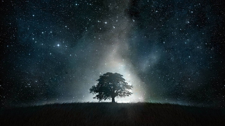 tree under starry night, landscape, blue, black, star - Space